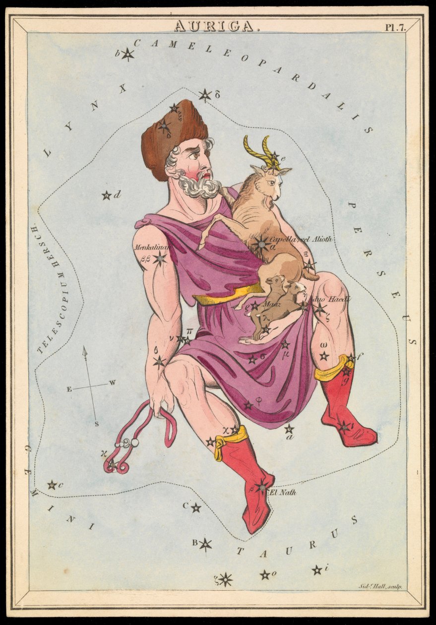 Auriga, ca. 1825 (kort, papir, væv) af Sydney Hall