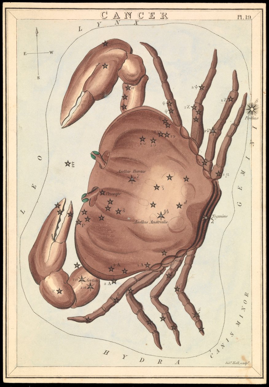 Kræft, ca. 1825 (kort, papir, væv) af Sydney Hall