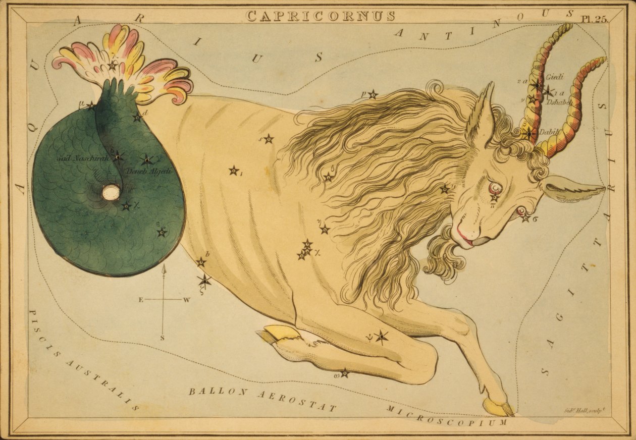 Capricornus, Illustration fra 
