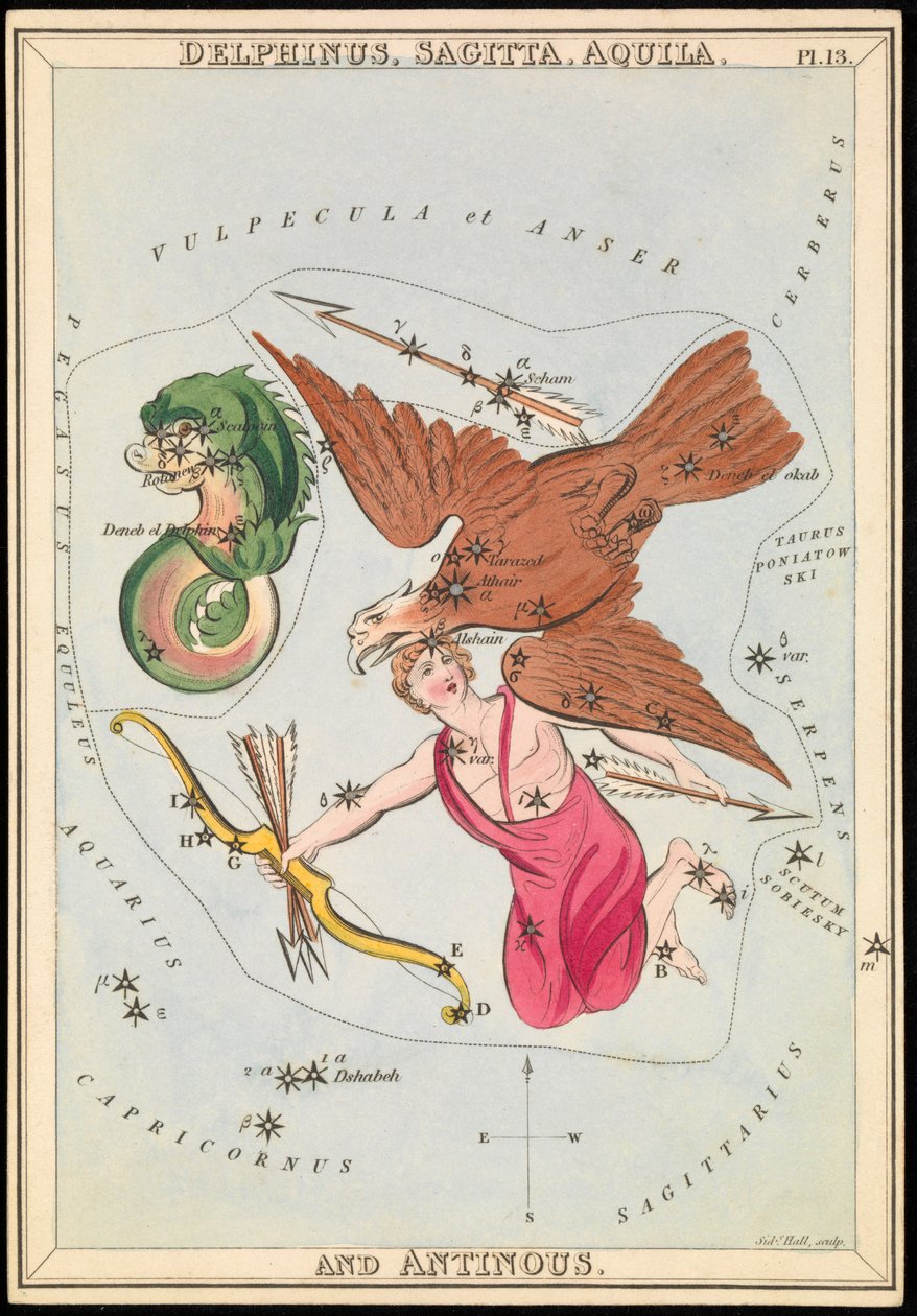 Delphinus, Sagitta, Aquila og Antinous, ca. 1825 (kort, papir, væv) af Sydney Hall