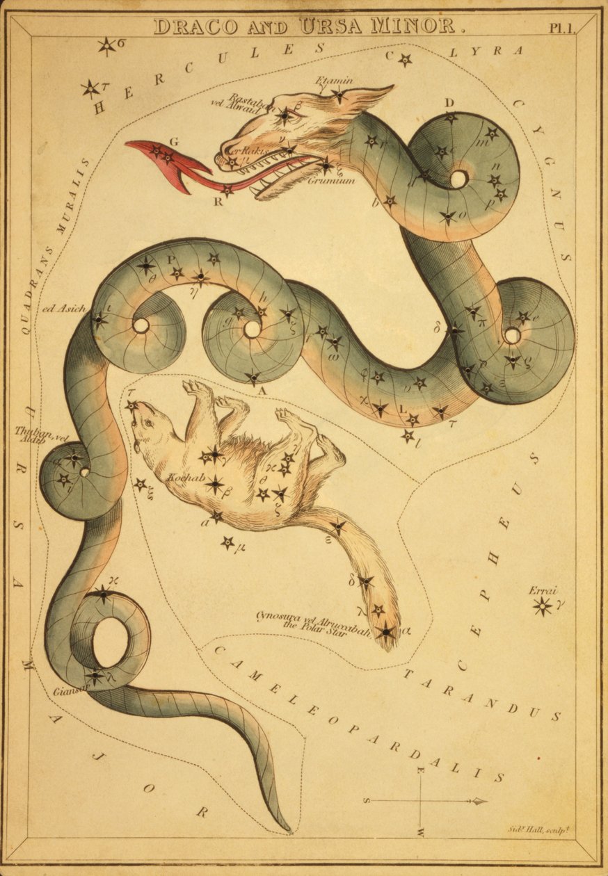 Draco og Ursa Minor, Illustration fra 