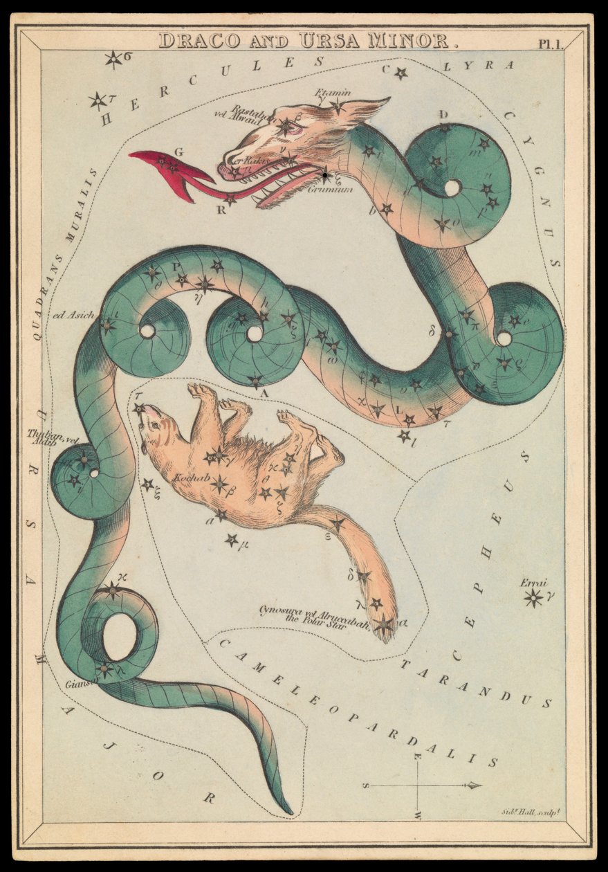Draco og Lille Bjørn, ca. 1825 (kort, papir, silkepapir) af Sydney Hall