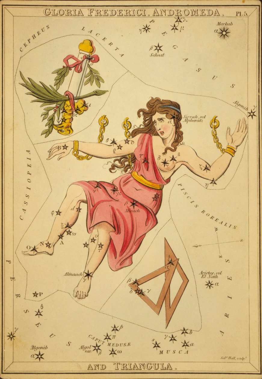 Gloria Frederici, Andromeda og Triangula, Illustration fra 