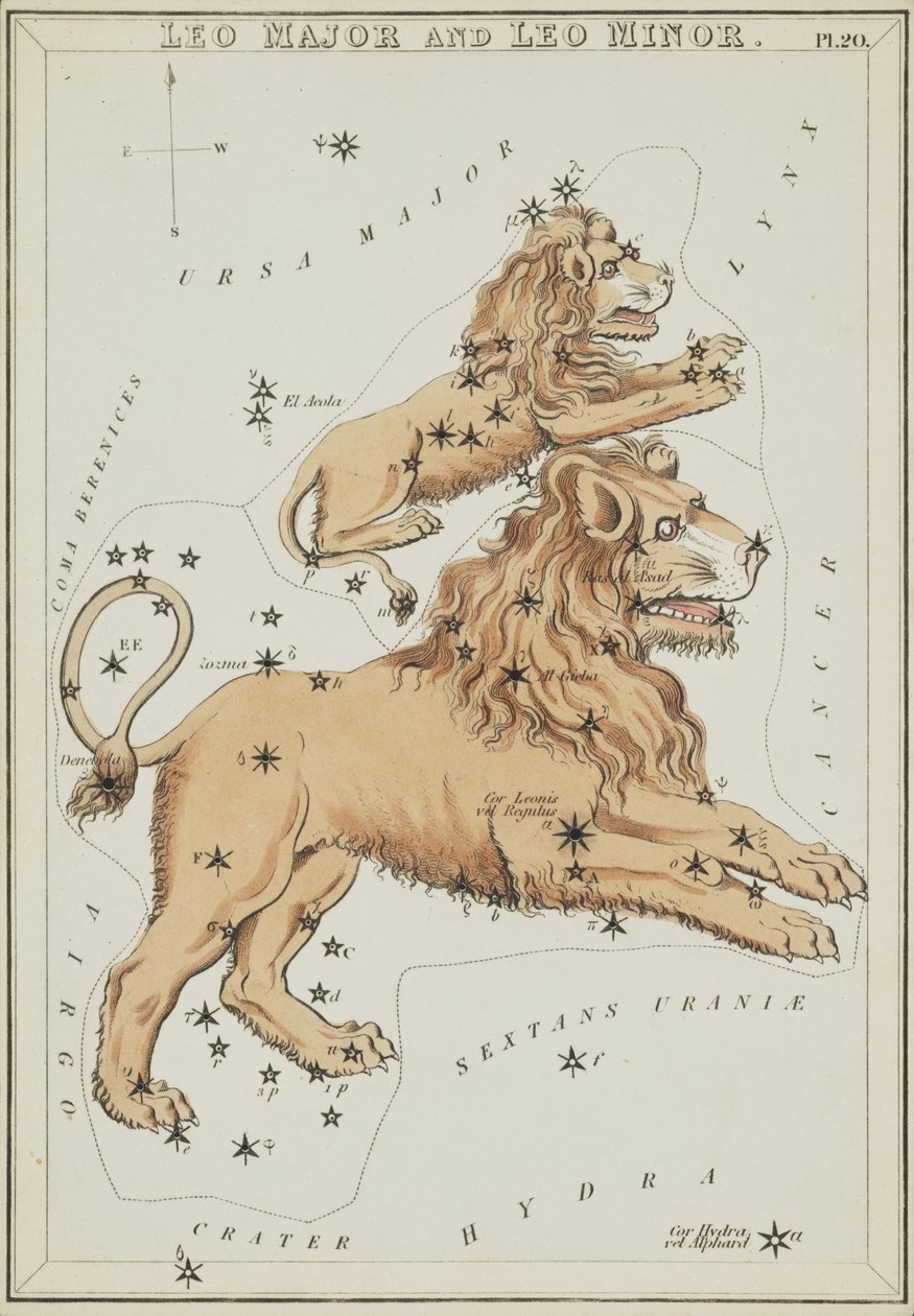 Leo Major og Leo Minor, Illustration fra 