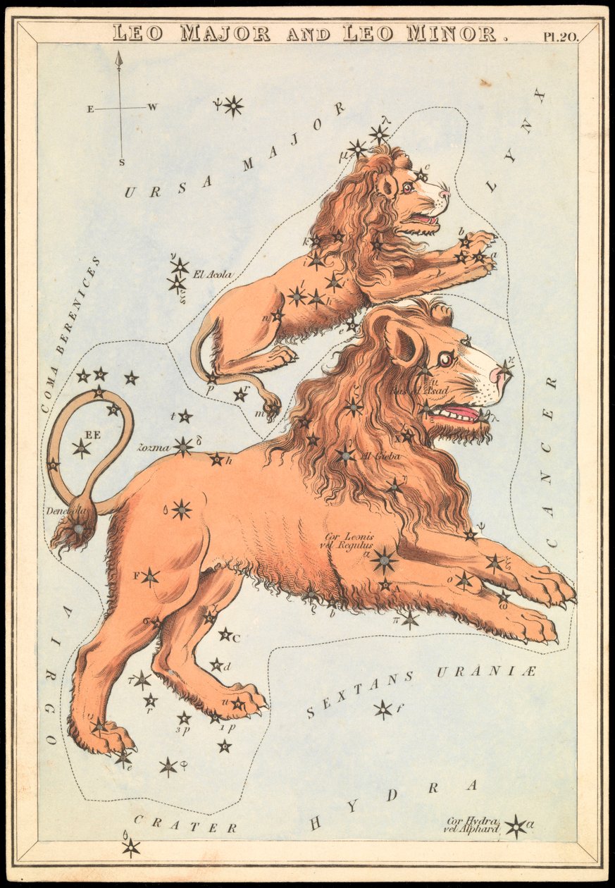 Leo Major og Leo Minor, ca. 1825 (kort, papir, silkepapir) af Sydney Hall