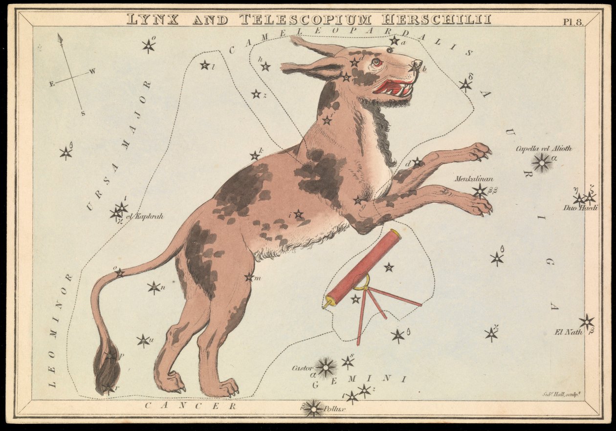 Lynx og Telescopium Hereschilii, ca. 1825 (kort, papir, væv) af Sydney Hall