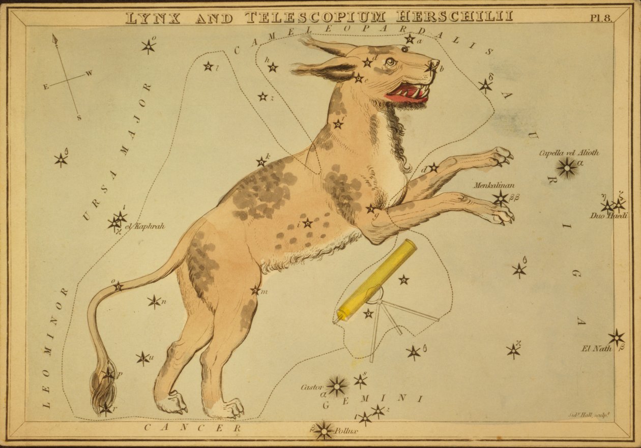 Lynx og Telescopium Herschilii, Illustration fra 