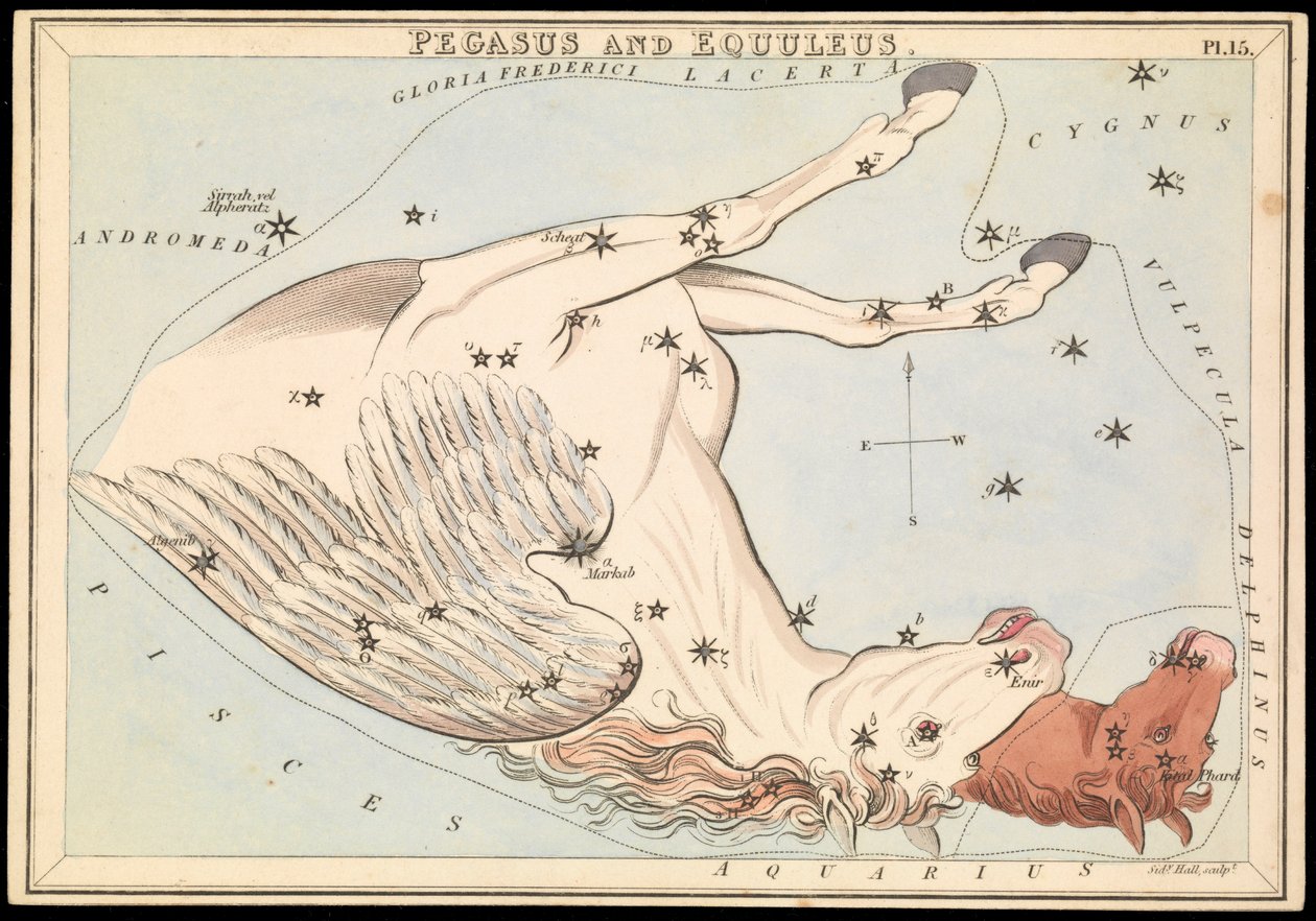 Pegasus og Equuleus, ca. 1825 (kort, papir, væv) af Sydney Hall