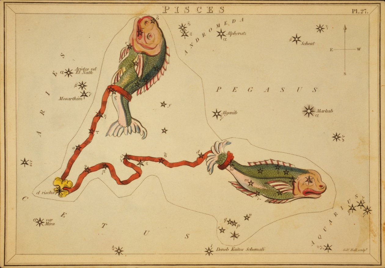Fiskene, illustration fra 