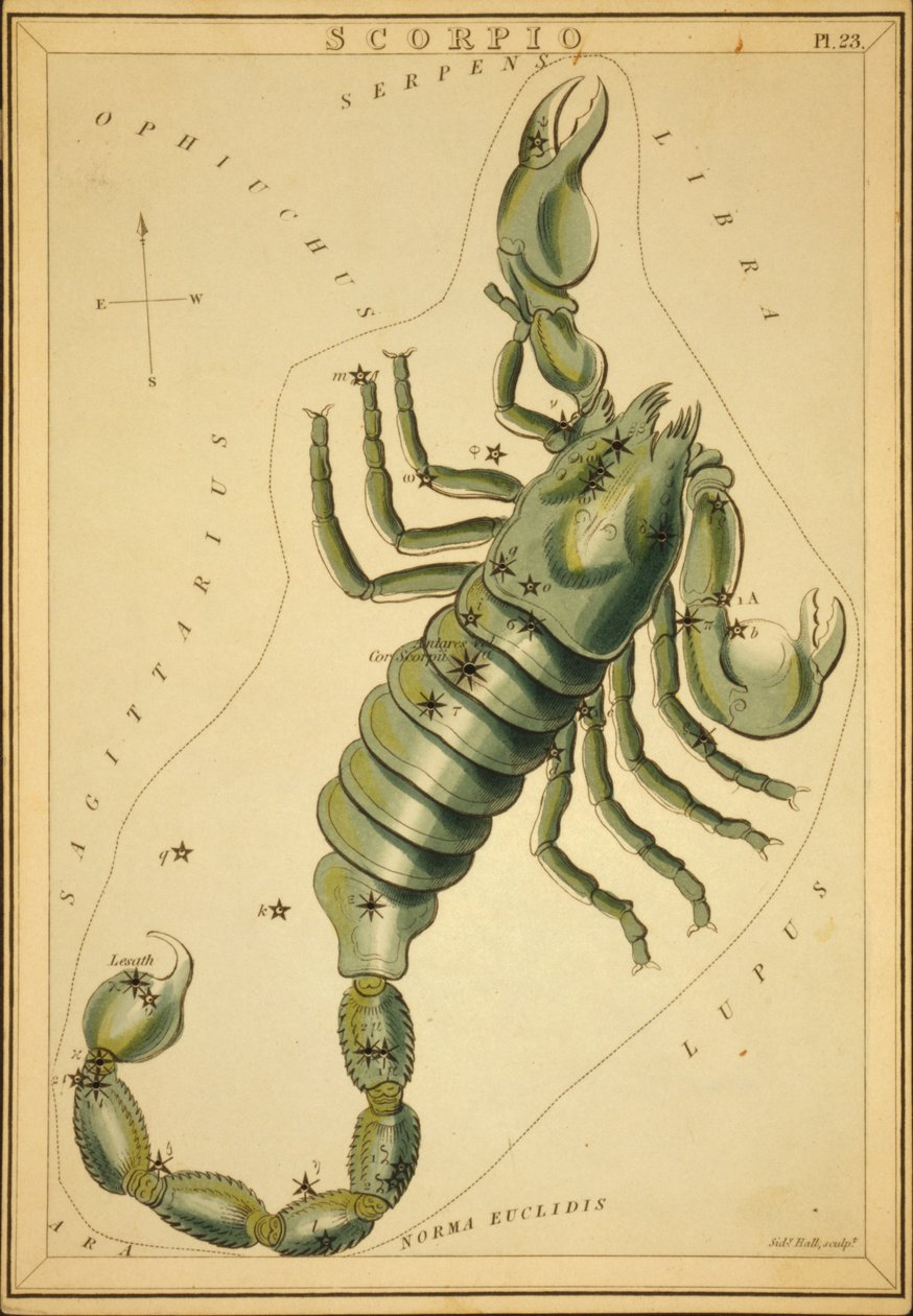 Skorpionen, illustration fra 
