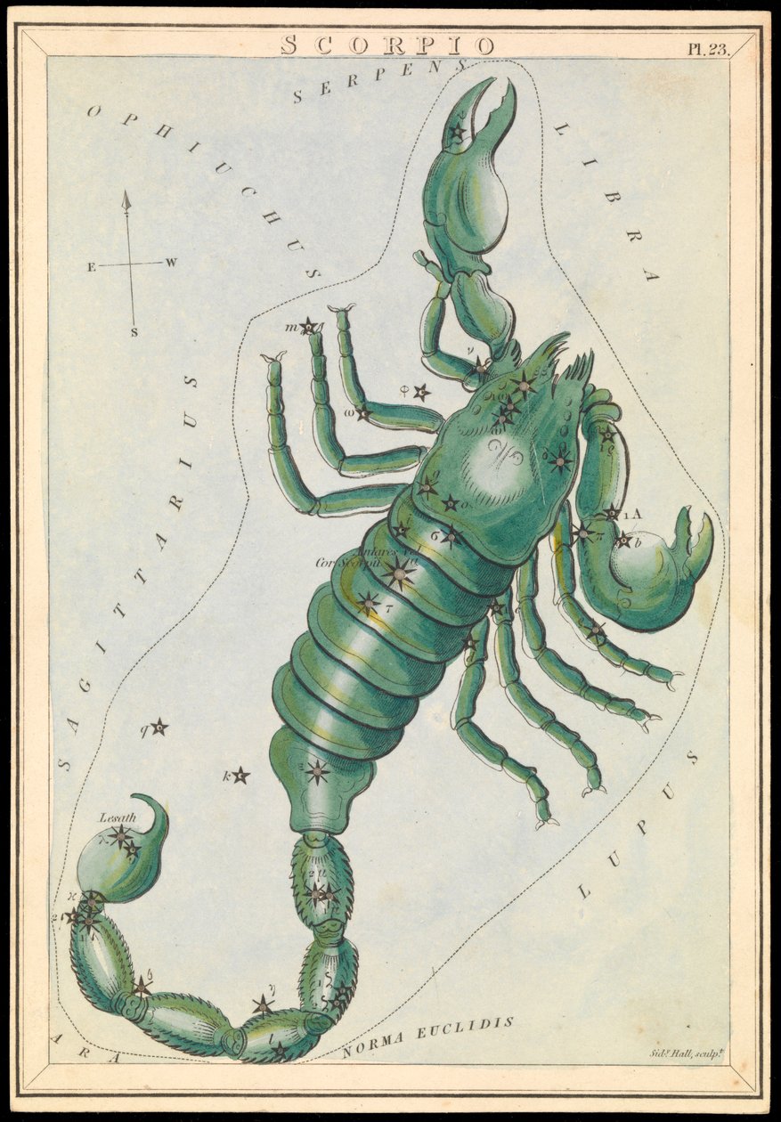 Skorpionen, ca. 1825 (kort, papir, væv) af Sydney Hall