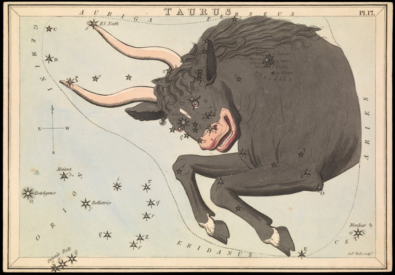 Taurus, ca. 1825 (kort, papir, væv) af Sydney Hall
