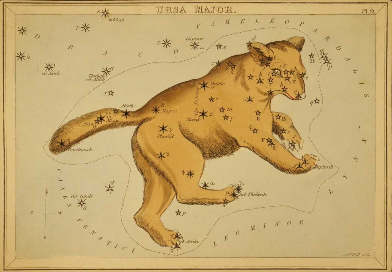 Ursa Major, Illustration fra 