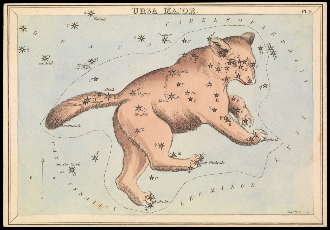 Ursa Major, ca. 1825 (kort, papir, væv) af Sydney Hall