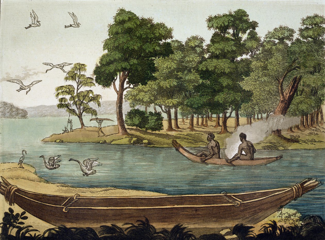 Navigation i New Holland, graveret af F. Fumagalli, illustration fra en samling af rejsebøger fra begyndelsen af det 19. århundrede af Sydney Parkinson