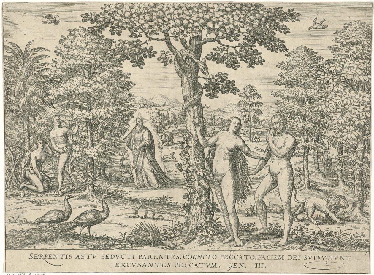 Zondeval Figurer og billeder af bøger (serietitel) af Symon Novelanus (attributed to)