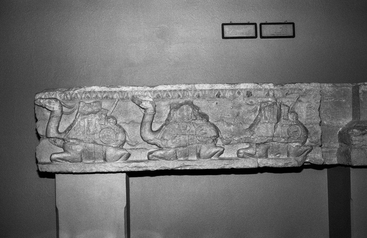 Kamel relief (sten) af Syrian