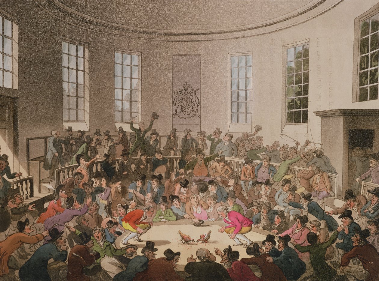 Royal Cock Pit, 1808, graveret af John Bluck (fl.1791-1819) af Pugin and Rowlandson