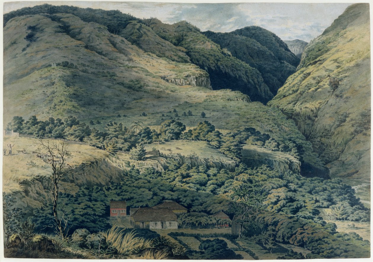 Kløft og flod ved St. Denis, Bourbon, 1814 af T. Bradshaw