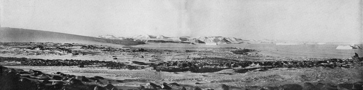 Et panorama af Cape Roberts, der ser mod nord, c1911, 1913. af T. Griffith Taylor