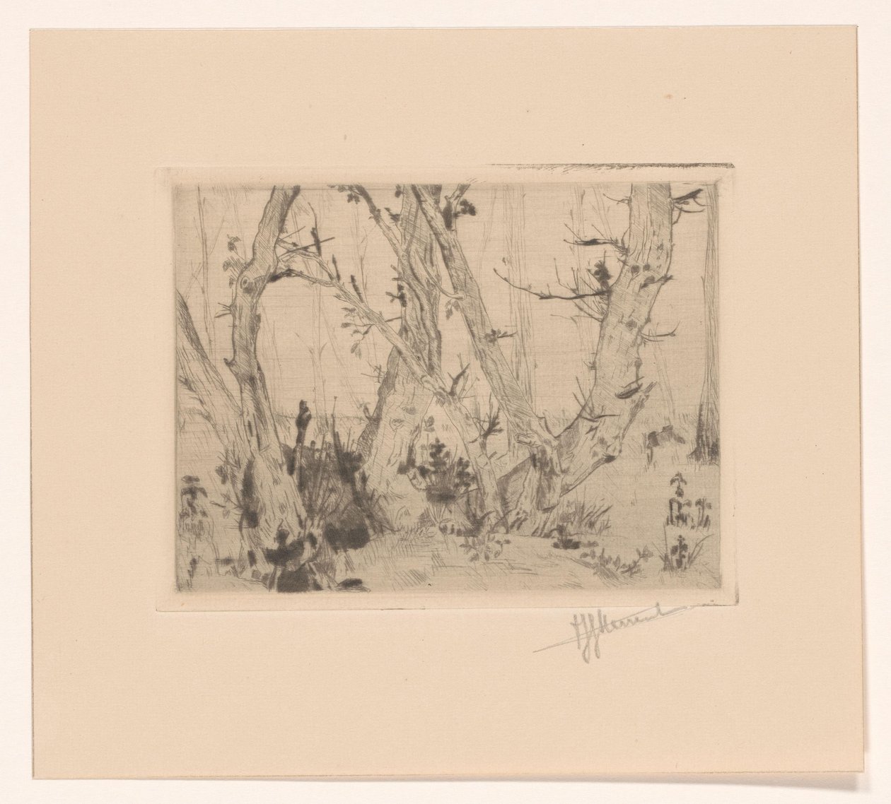 skov udsigt af T. Sterrenburg (signed by artist)