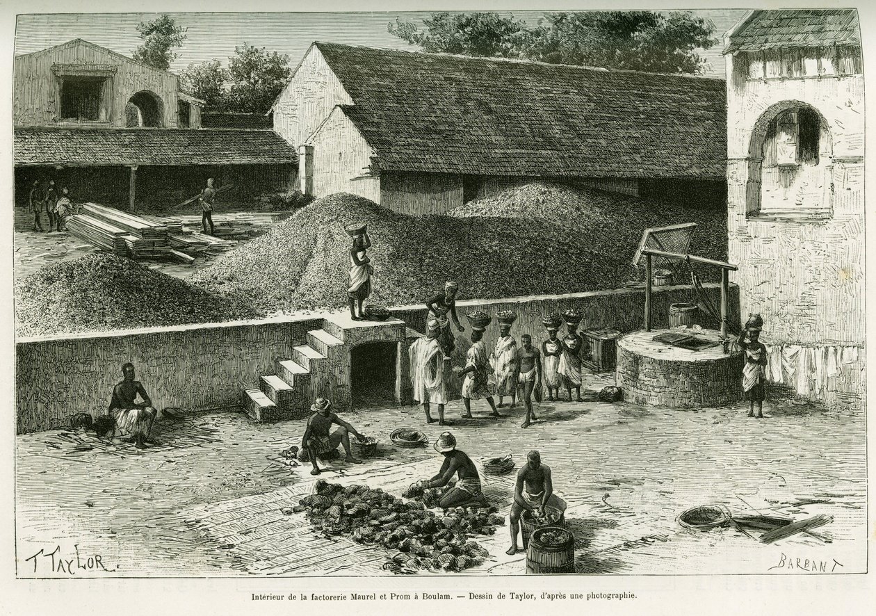 Inde i fabrikken Maurel og Prom, i Boulam, samler og forarbejder jordnødder, palmemandel og gummi. Gravering af Taylor, efter et fotografi, for at illustrere historien Voyage dans la Senegambie et la Guinee portugisisk, i 1888, af kaptajn A. Brosselard, af T Taylor