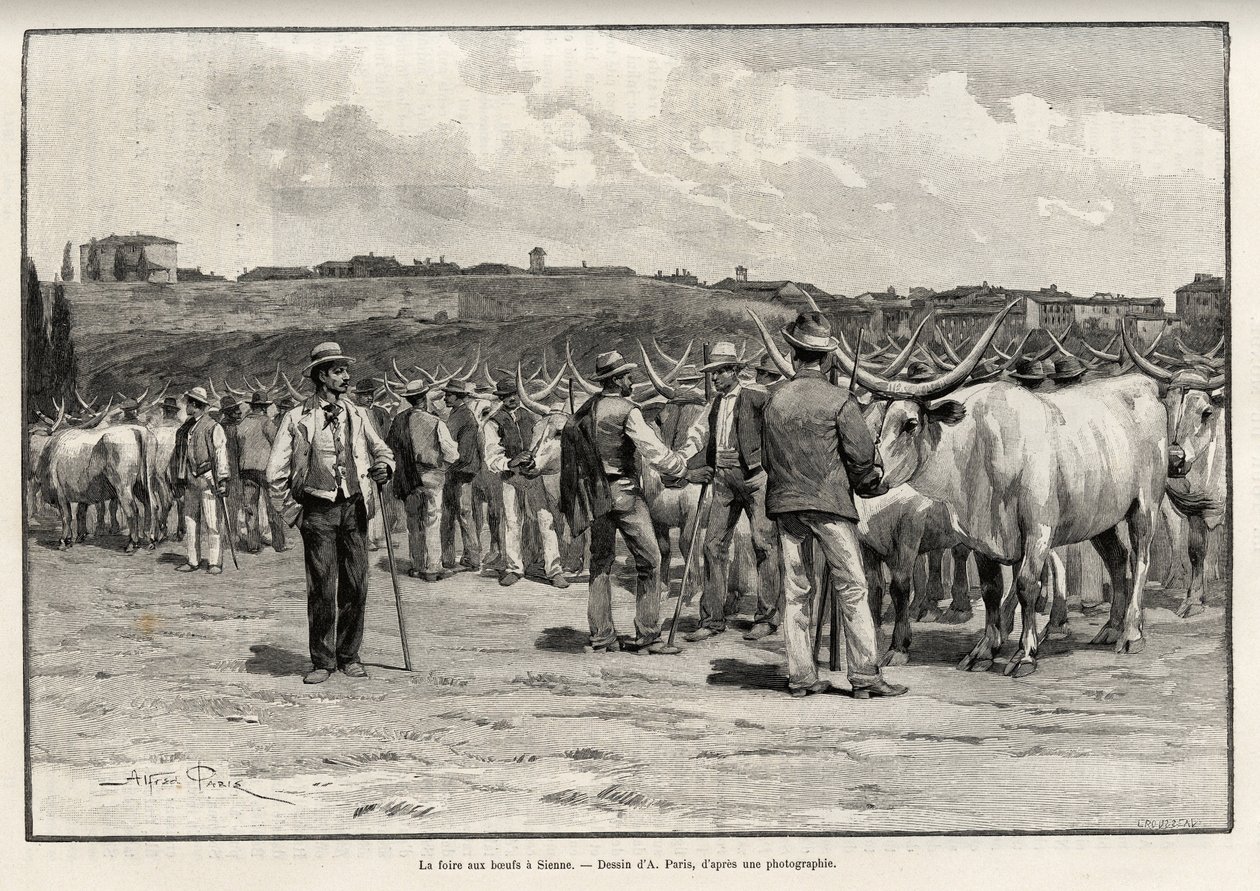 Oksekødsmessen i Siena (Italien). Gravering af Taylor for at illustrere historien "" A travers la Tuscane"" af Eugene Muntz (1845-1902), i Le tour du Monde 1892, instrueret af Edouard Charton (1807-1891), Hachette, Paris. af T Taylor