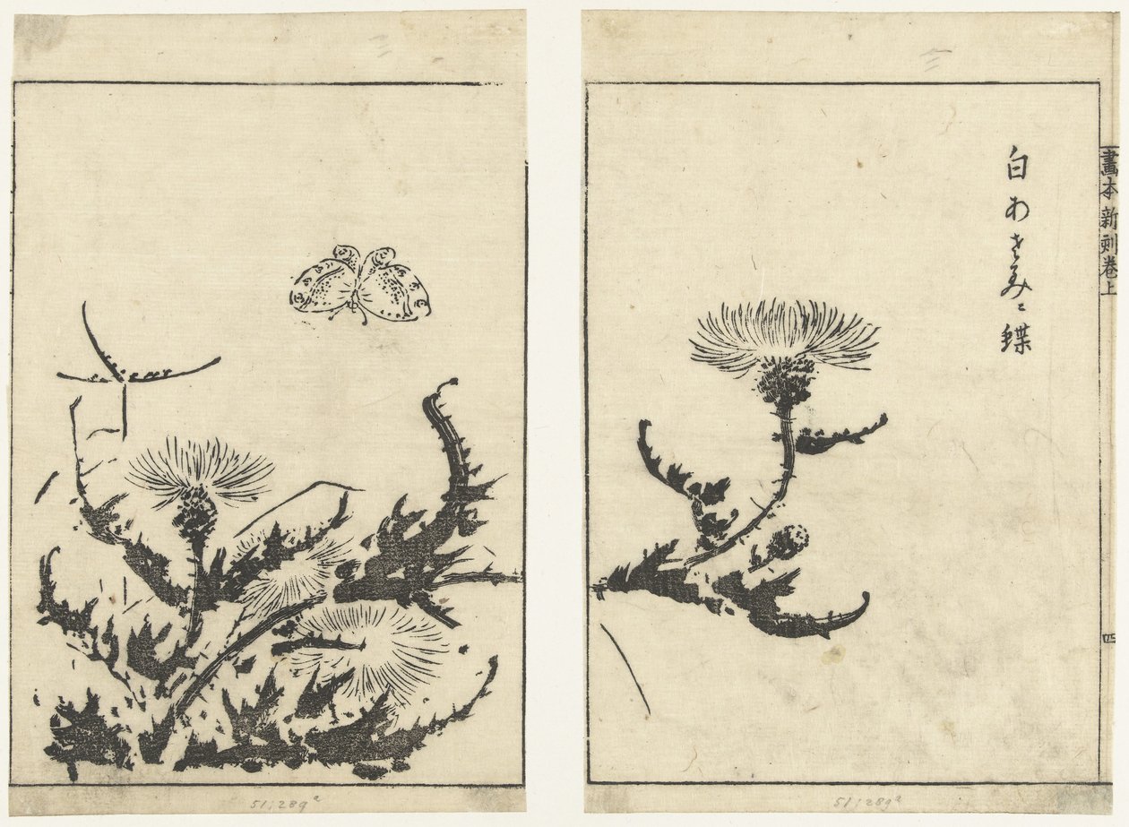 di s te ls en v in r gahon shinkoku makiage af Tachibana Morikuni (attributed to)