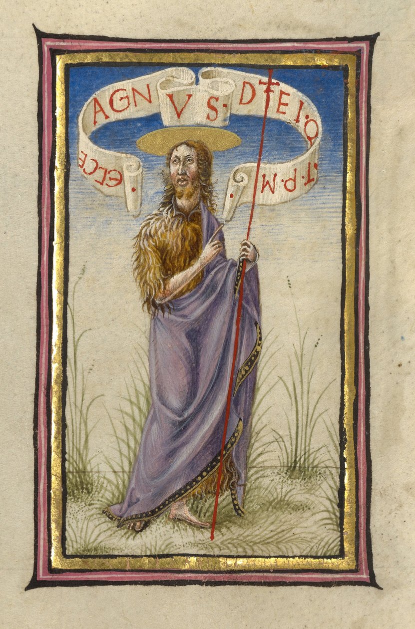 Sankt Johannes Døberen af Taddeo Crivelli