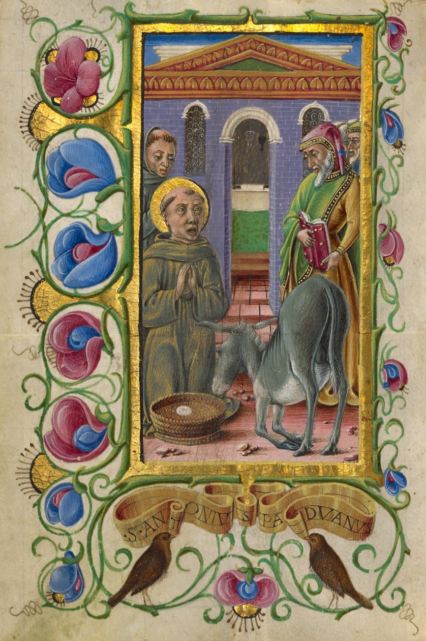 Sankt Antonius af Padua af Taddeo Crivelli