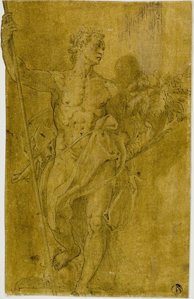 Studie til mandlig allegorisk figur af Taddeo Zuccaro