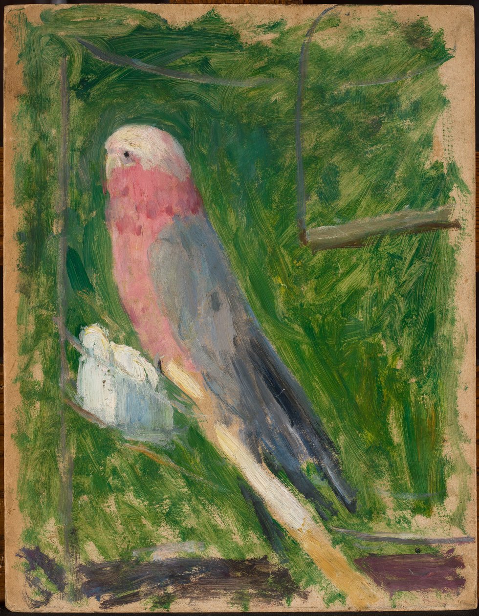 Papegøje af Tadeusz Makowski