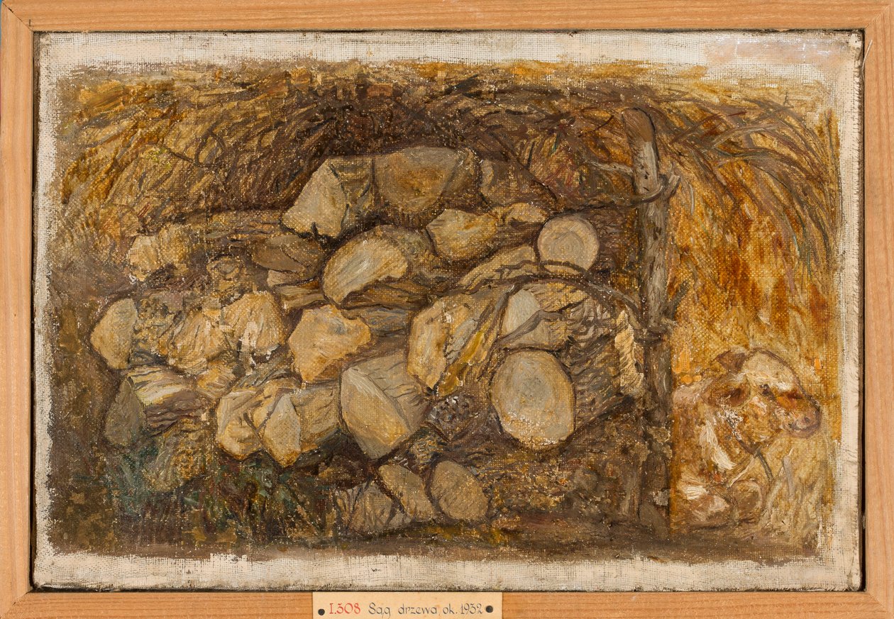 Brændestabel af Tadeusz Makowski