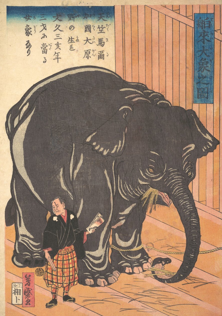 Udsigt over den store importerede elefant, 1863 Bunkyo 3, 4. måned. af Taguchi Yoshimori