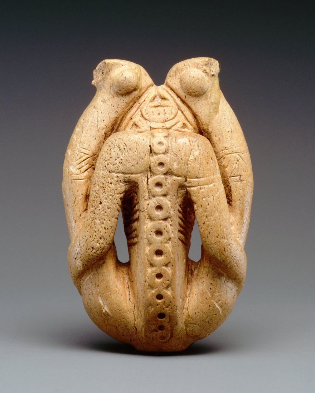 Cohiba inhalator (manatee knogle) af Taino Culture