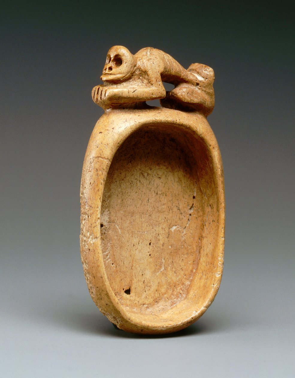 Kop af Taino Culture