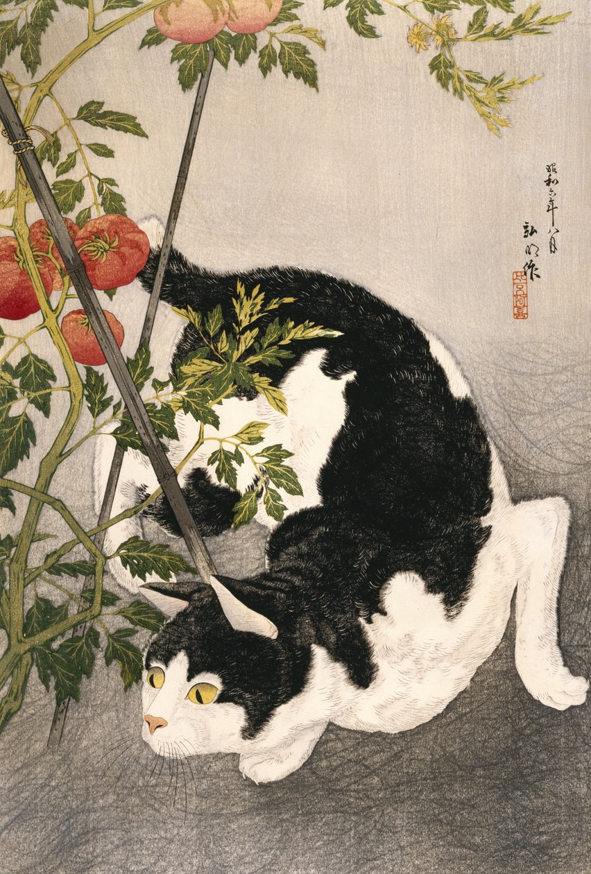 Kat, der går rundt om en satset tomatplante, 1931 (træbloktryk) af Takahashi Hiroaki