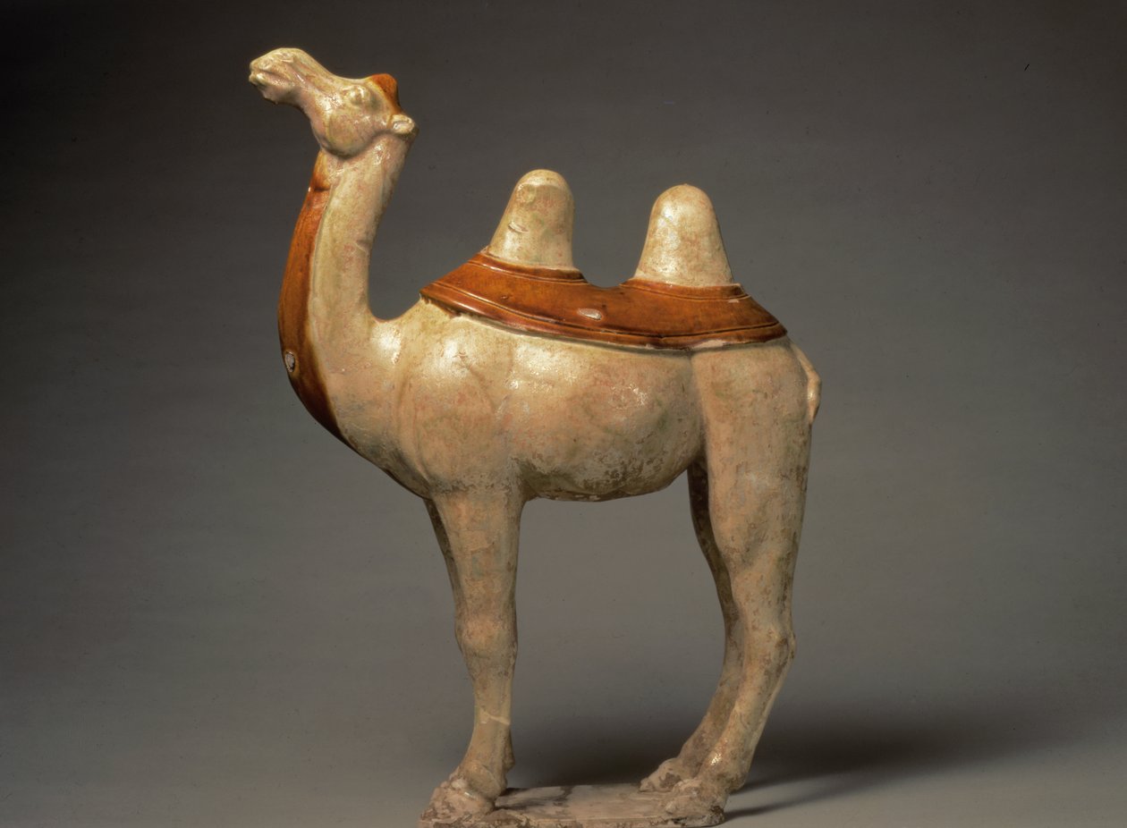 Keramikmodel af en stående kamel, kinesisk, Tang-dynastiet, 618-906 (keramik) af Tang Dynasty Chinese School