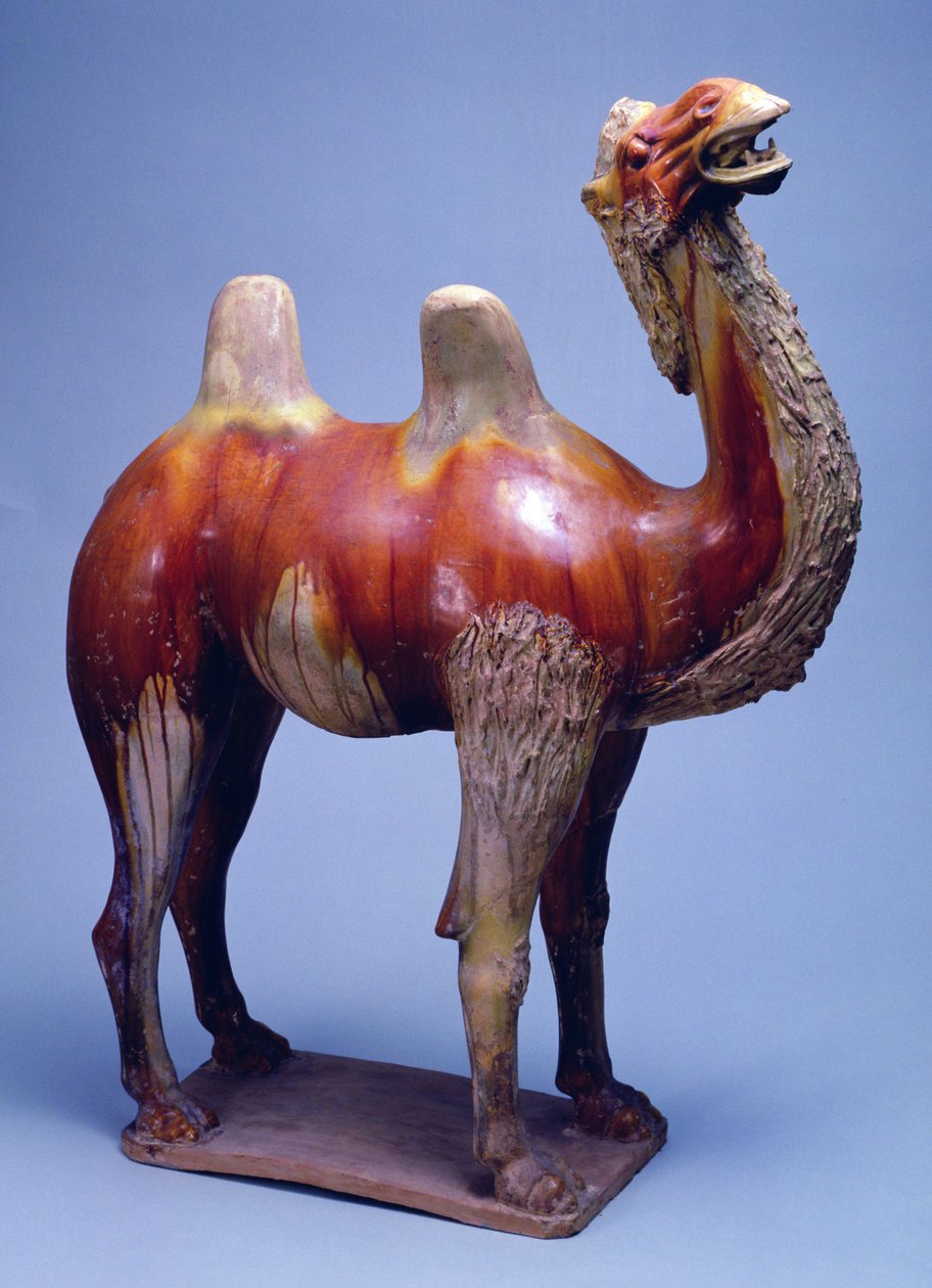 Kamel, Tang-dynastiet (polykrom glaseret keramik) af Tang Dynasty Chinese School