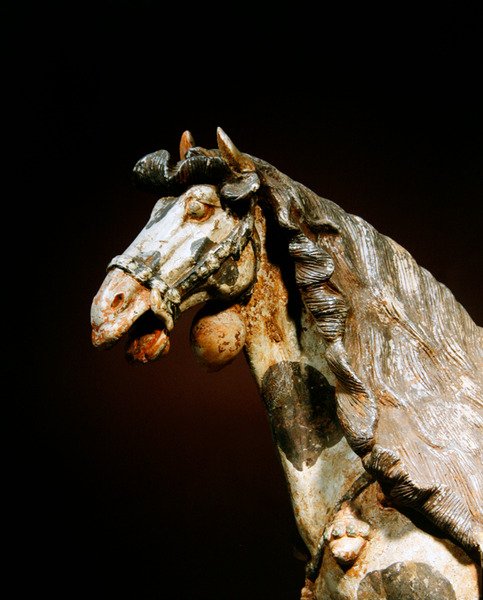 Detalje af en hest, slutningen af 7. - begyndelsen af 8. århundrede (lertøj med spor af pigment og forgyldt) af Tang Dynasty Chinese School