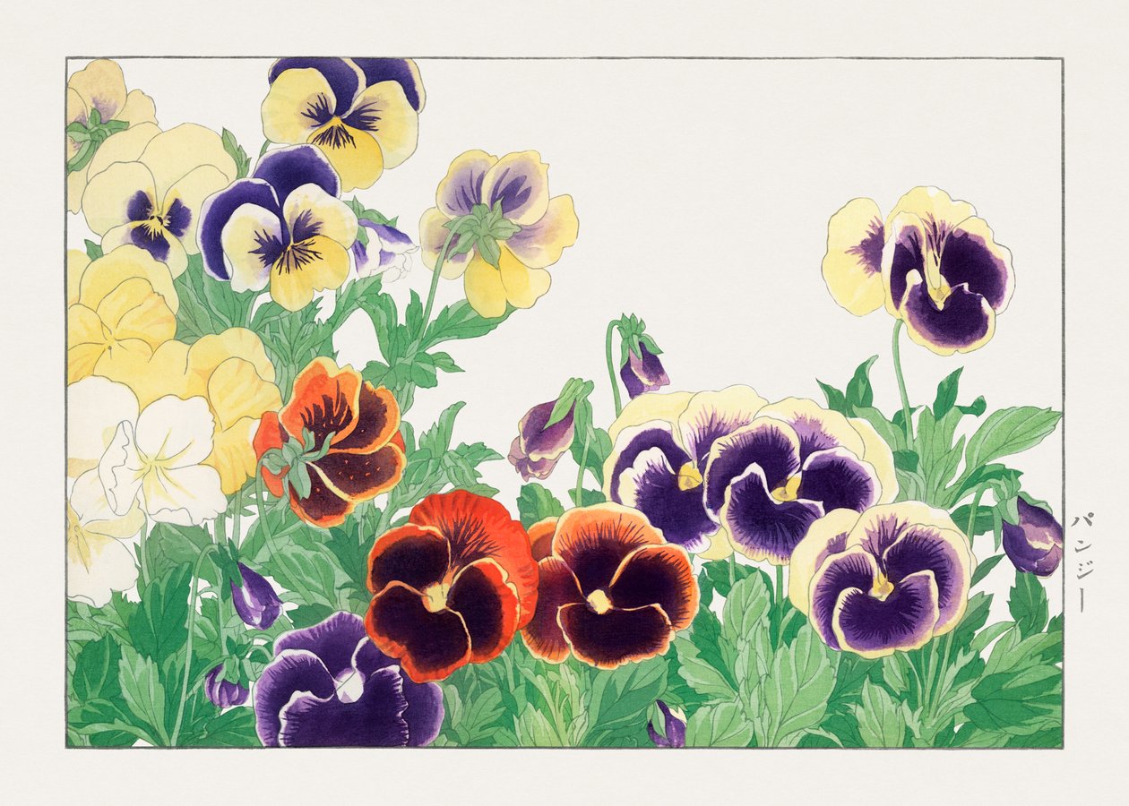 Vintage stedmoderblomst fra "Seiyou Sokazufu" af Tanigami Konan