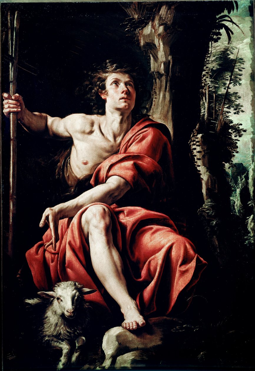 Saint John in the Desert Maleri af Tanzio da Varallo (Antonio d