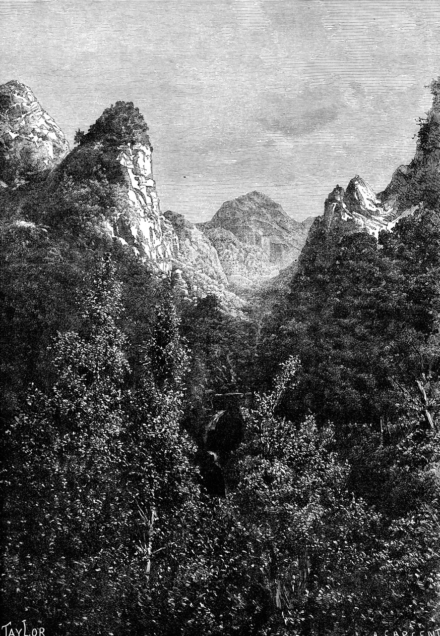 Madeira, Portugal, 1895. af Taylor