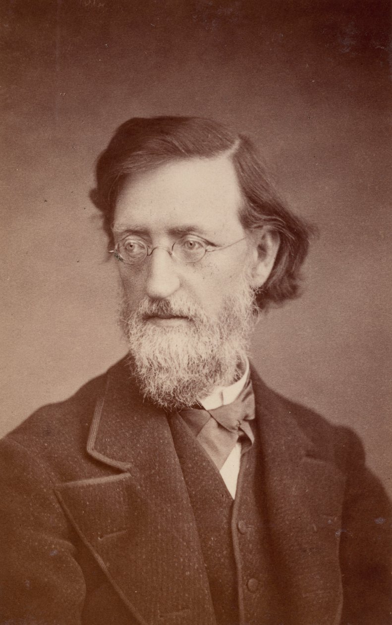 Portræt af John Peter Lesley 1819-1903, december 1875. af Taylor and Brown