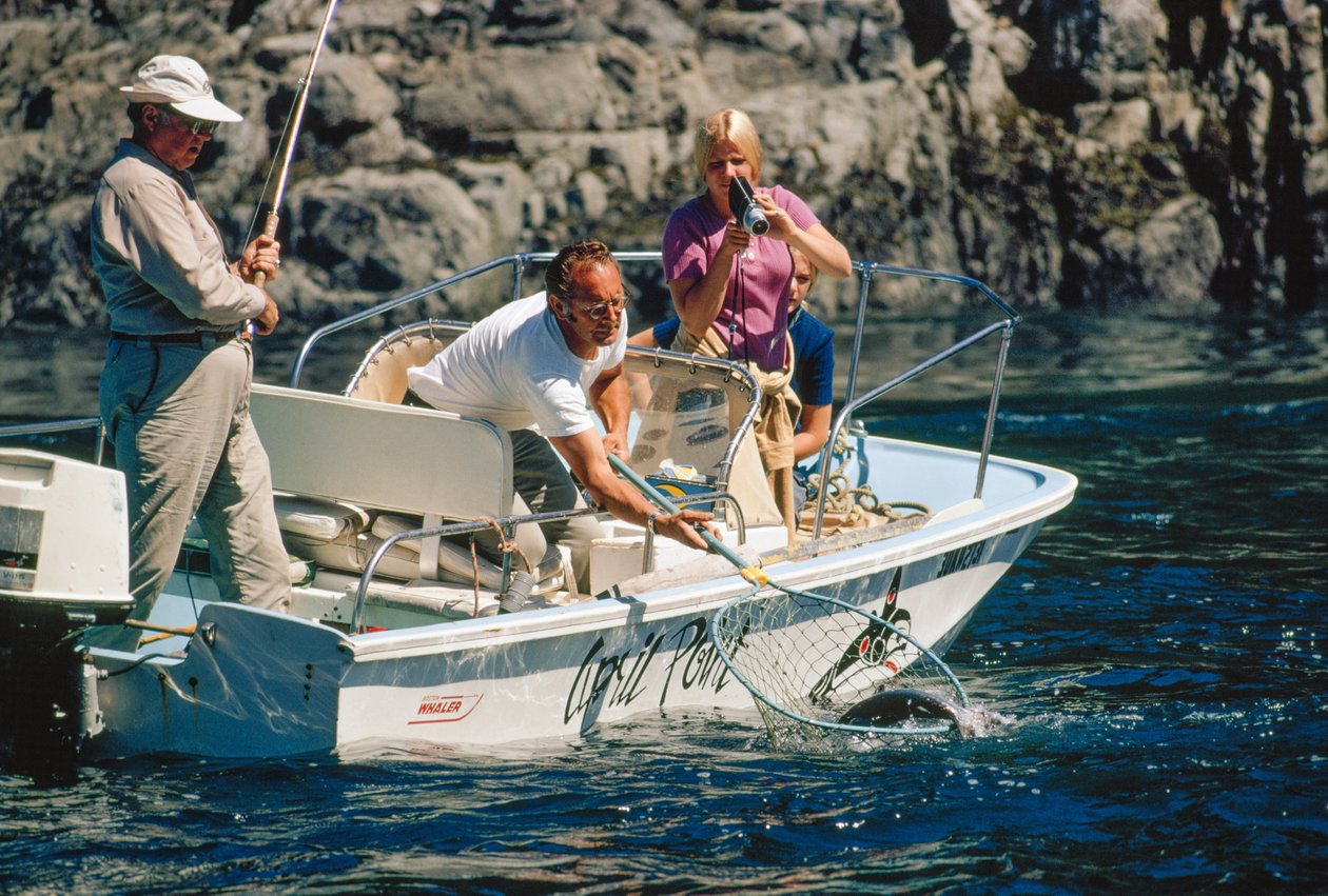 En lystfisker filmer sin fangst, mens han hiver en laks ind ved Bute Inlet. af Ted Spiegel