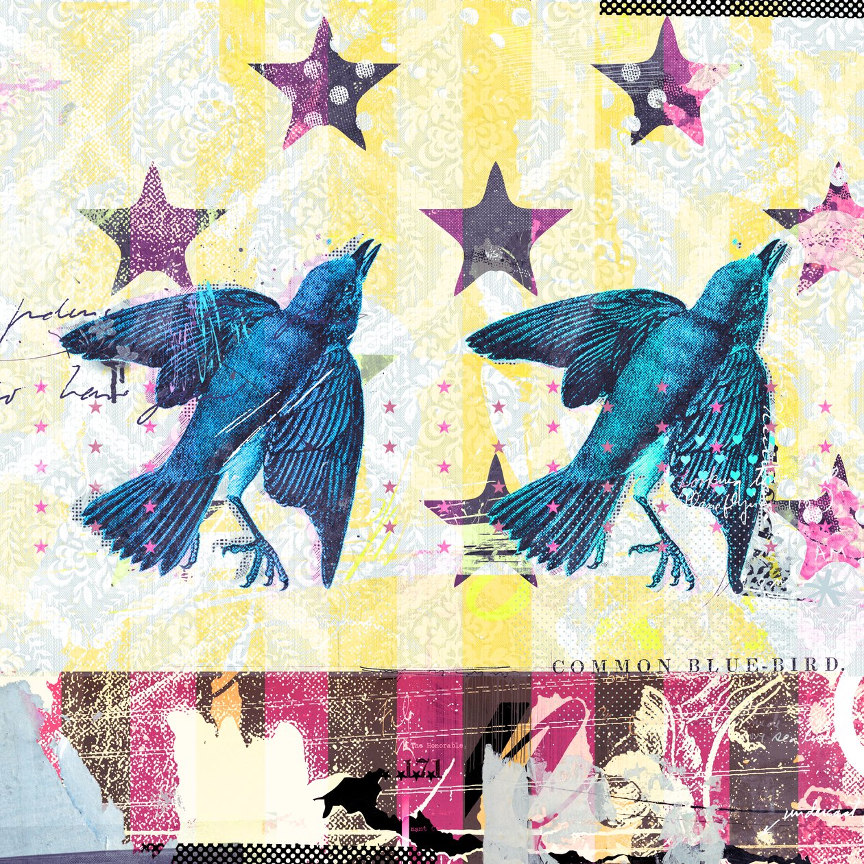 Birds in Serie, 2015 (kollaasi kankaalle) af Teis Albers