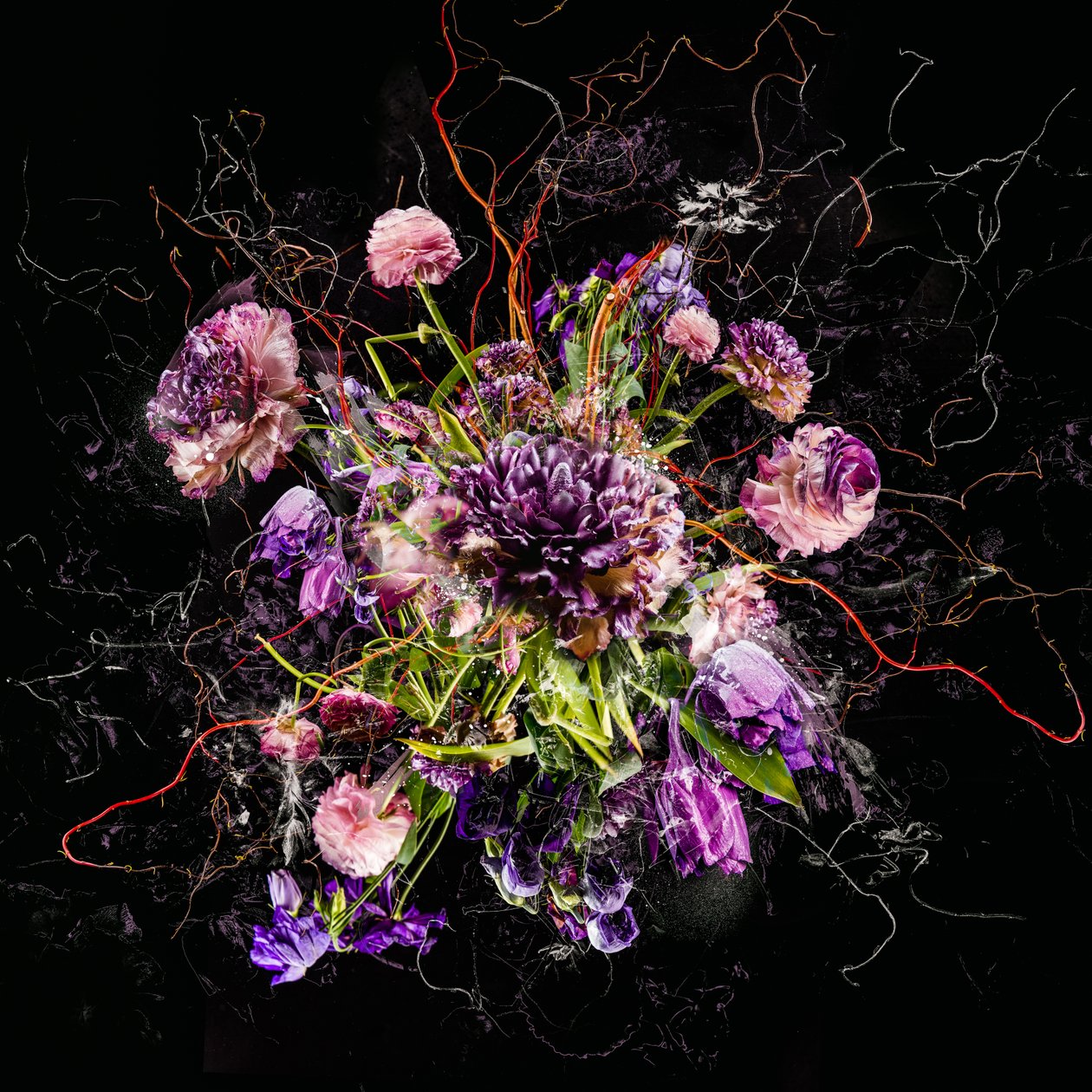 Bouquet IV, 2017 (foto) af Teis Albers