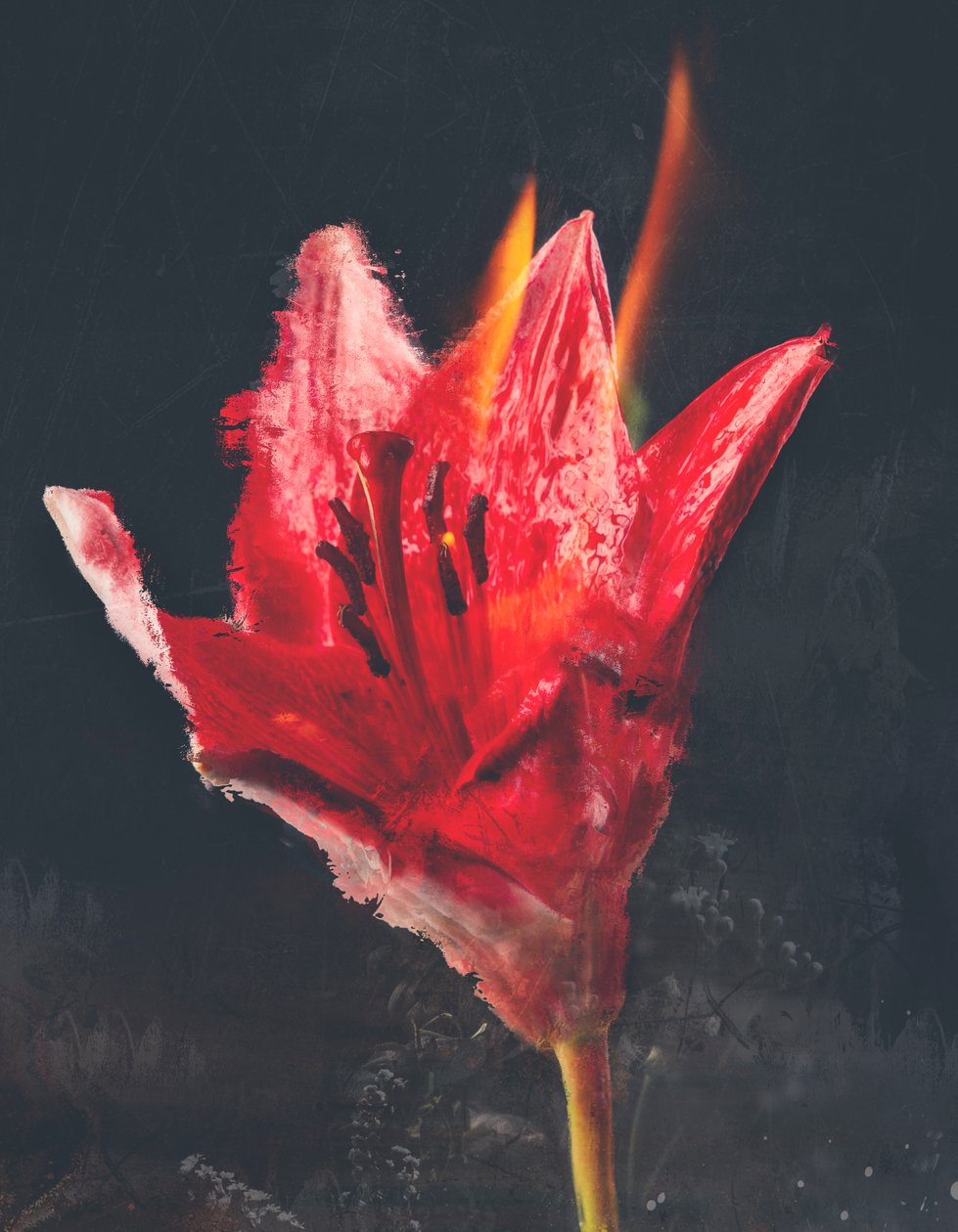 Combust, 2019 (blandet medier på lærred) af Teis Albers