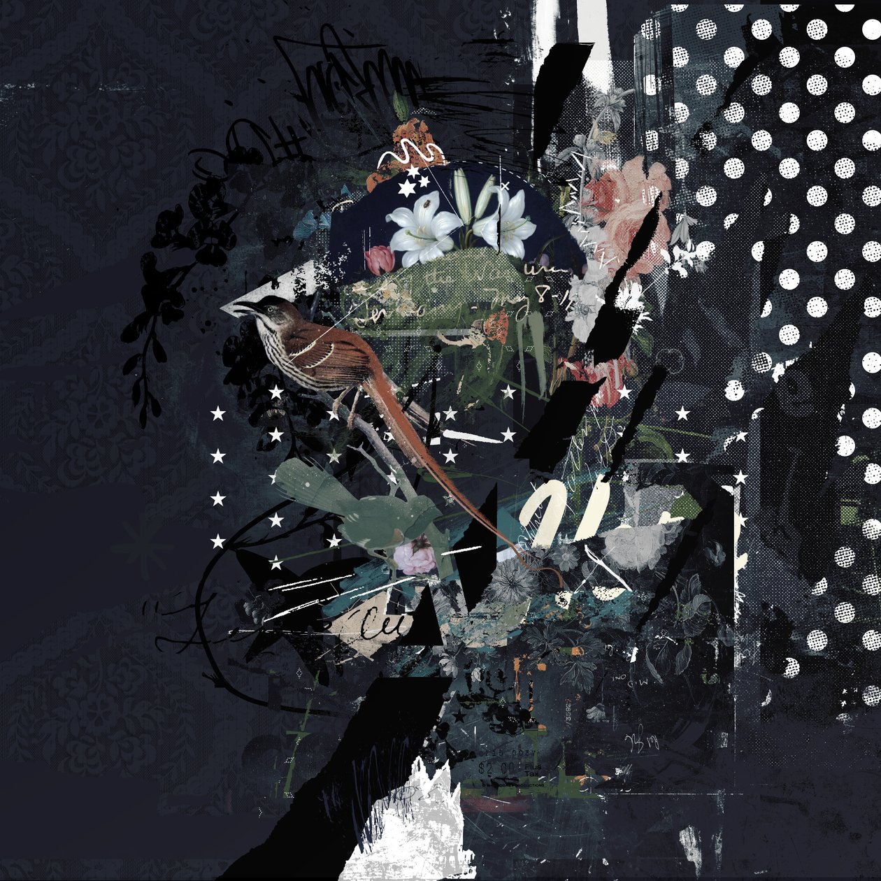 Floralbirds, 2017 (Collage på lærred) af Teis Albers