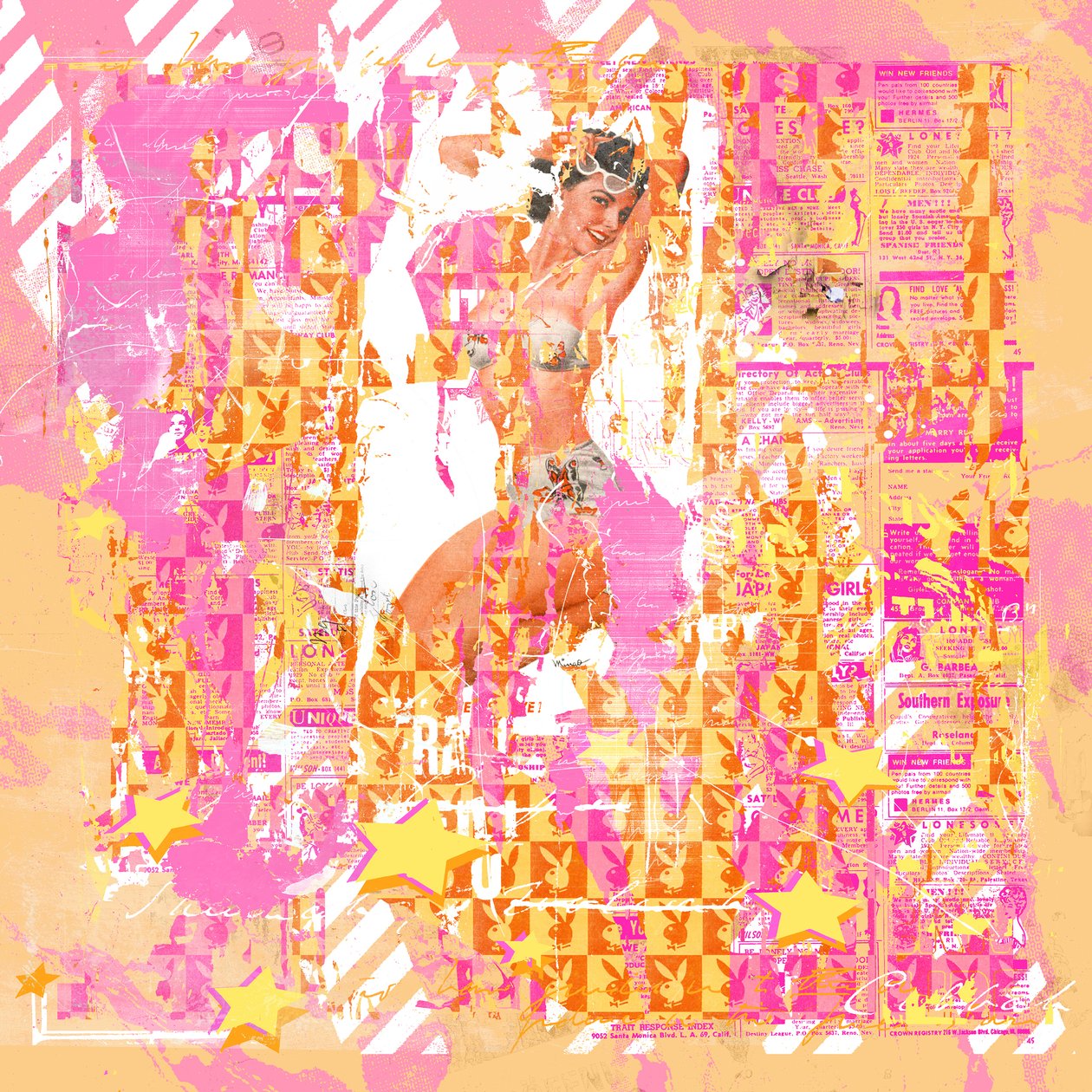 Pinup2, 2014 (blandet medier på lærred) af Teis Albers